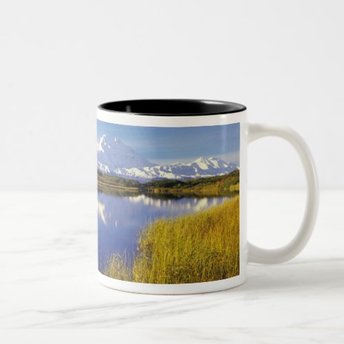 NA USA Alaska Denali NP Mt McKinley in Two_Tone Coffee Mug