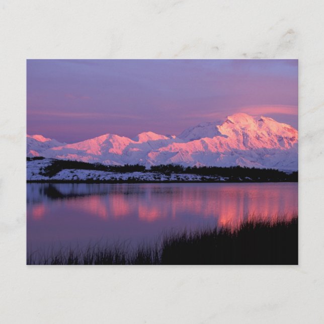 NA, USA, Alaska, Denali NP, Mt. McKinley, Postcard (Front)