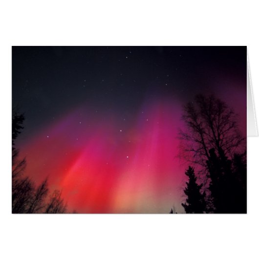 NA, USA, Alaska, Fairbanks, Curtains of pink and (Front Horizontal)