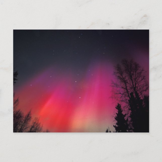 NA, USA, Alaska, Fairbanks, Curtains of pink and Postcard (Front)
