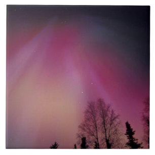 NA, USA, Alaska, Fairbanks. Curtains of purple, 2 Tile