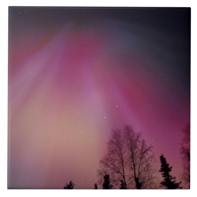 NA, USA, Alaska, Fairbanks. Curtains of purple, 2 Tile (Front)