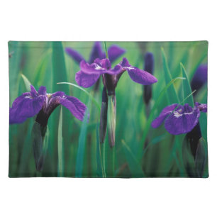 NA, USA, Alaska, Knight Island, Wild iris Cloth Placemat