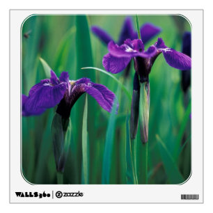 NA, USA, Alaska, Knight Island, Wild iris Wall Sticker