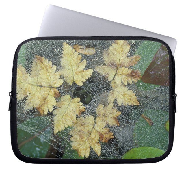 NA, USA, Alaska, Nancy Lake. Dew on spiderweb Laptop Sleeve (Front)