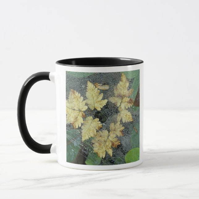 NA, USA, Alaska, Nancy Lake. Dew on spiderweb Mug (Left)