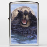 Na, Usa, Alaska. Sea Otters Are The Largest Zippo Lighter at Zazzle