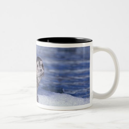 NA USA Alaska Southeast Alaska Le Conte Two_Tone Coffee Mug