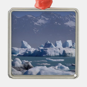 NA, USA, Alaska, St. Elias Range, Alsek River, Metal Ornament