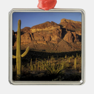 NA, USA, Arizona. Organ Pipe Cactus National 2 Metal Ornament