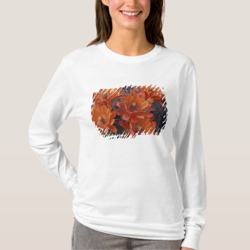 NA USA Arizona San Xavier Claret Cup cactus T_Shirt