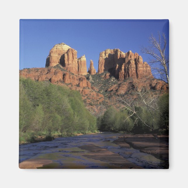 NA, USA, Arizona, Sedona. Cathedral Rock and Oak Magnet (Front)