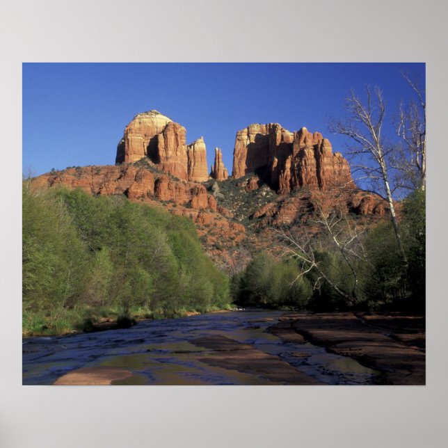 NA, USA, Arizona, Sedona. Cathedral Rock and Oak Poster (Front)