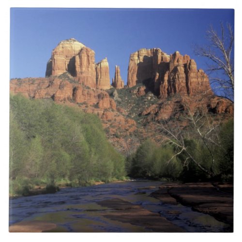 NA USA Arizona Sedona Cathedral Rock and Oak Tile