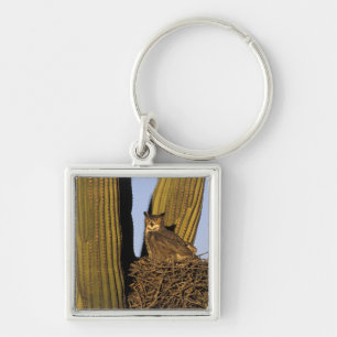NA, USA, Arizona, Tucson. Great horned owl Keychain