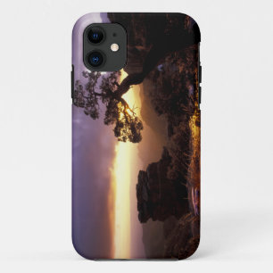 NA, USA, Arizona, Tucson, Sunset and lone iPhone 11 Case