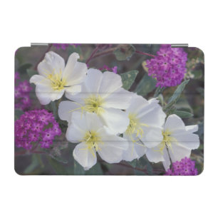 NA, USA, California, Anza Borrego Desert State iPad Mini Cover