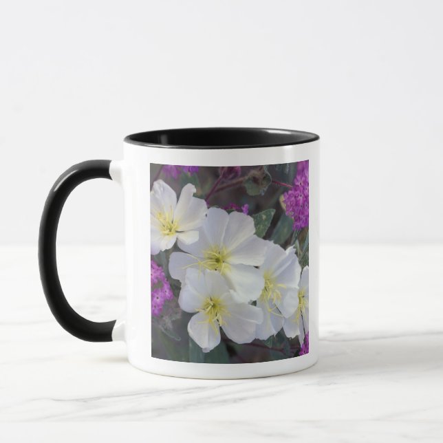 NA, USA, California, Anza Borrego Desert State Mug (Left)