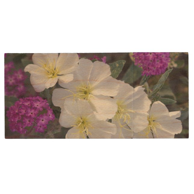 NA, USA, California, Anza Borrego Desert State Wood USB Flash Drive (Front)