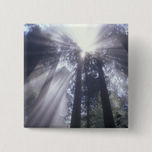 NA, USA, California. Del Norte Coast State 2 Pinback Button