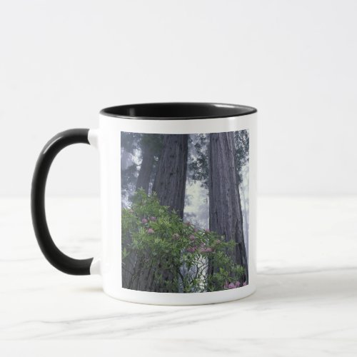 NA USA California Del Norte Coast State Park 2 Mug