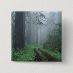 NA, USA, California. Del Norte Coast State Park. Button