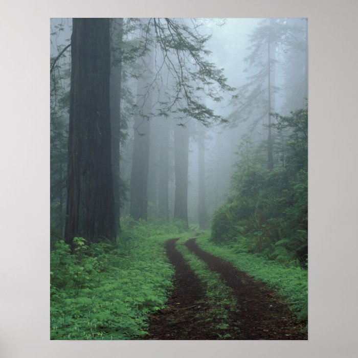 NA, USA, California. Del Norte Coast State Park. Posters