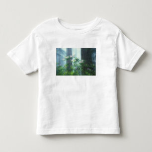 NA, USA, California, Del Norte Redwoods State Toddler T-shirt