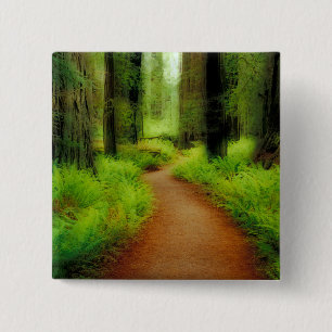 NA, USA, California, Jedediah Smith Redwoods Button