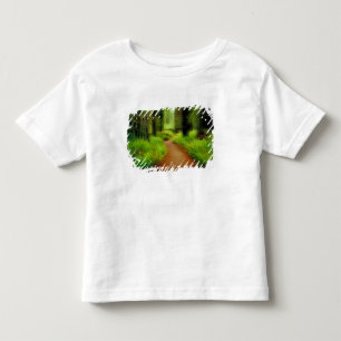 NA, USA, California, Jedediah Smith Redwoods Toddler T-shirt