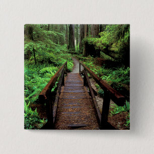 NA, USA, California, Jedidiah Smith Redwoods Button