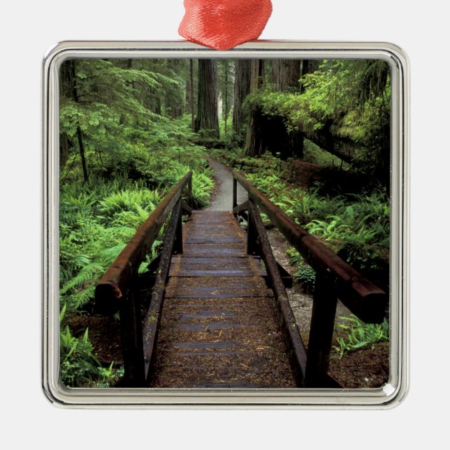 NA, USA, California, Jedidiah Smith Redwoods Metal Ornament (Front)