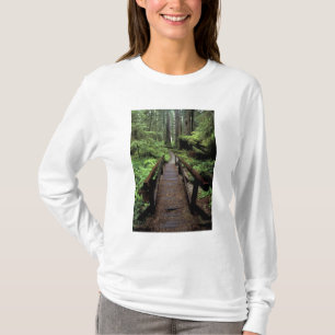 NA, USA, California, Jedidiah Smith Redwoods T-Shirt