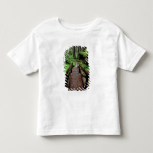 NA, USA, California, Jedidiah Smith Redwoods Toddler T-shirt