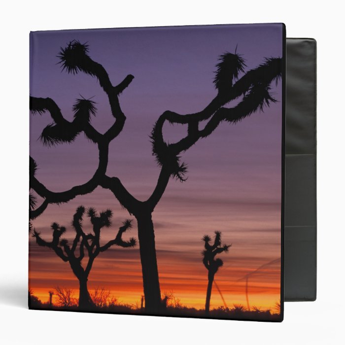 NA, USA, California. Joshua Tree National Vinyl Binder