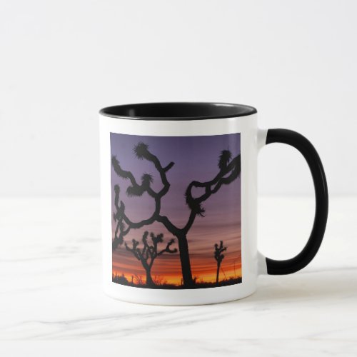 NA USA California Joshua Tree National Mug