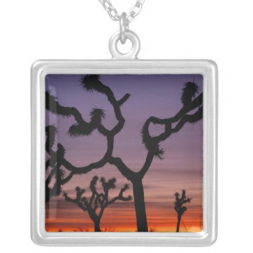 NA USA California Joshua Tree National Silver Plated Necklace