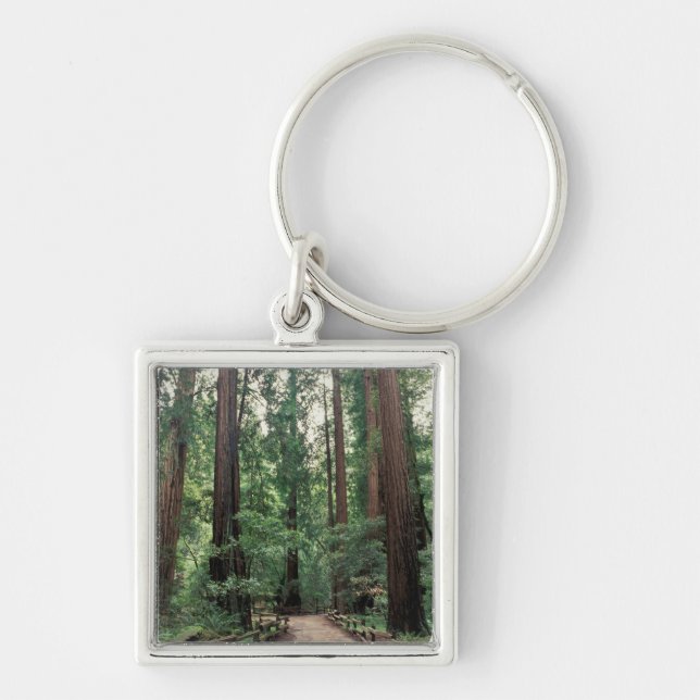 NA, USA, California, Marin County, Muir Woods Keychain (Front)