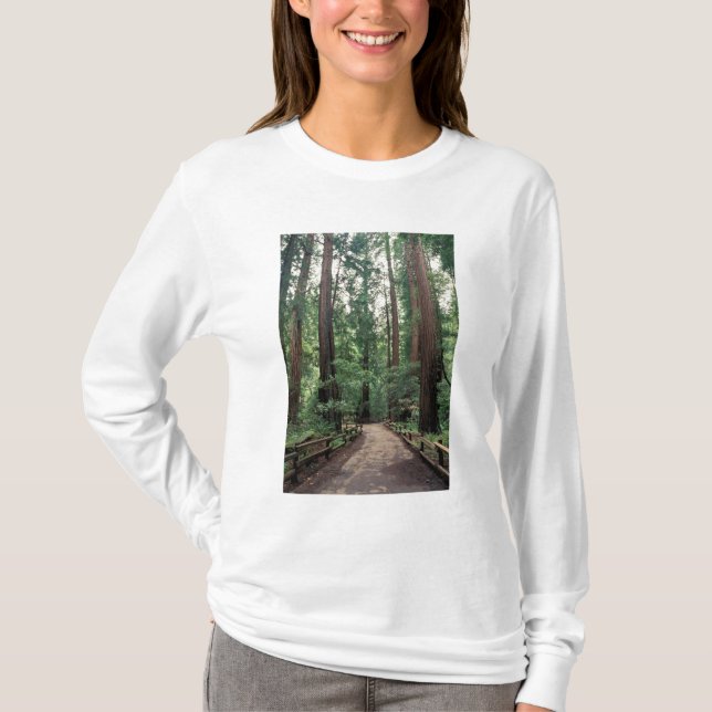 NA, USA, California, Marin County, Muir Woods T-Shirt (Front)