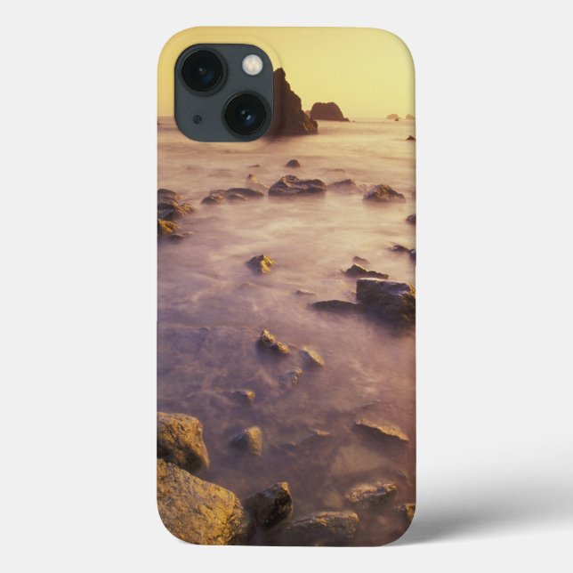 NA, USA, California, Northern California, Case-Mate iPhone Case (Back)