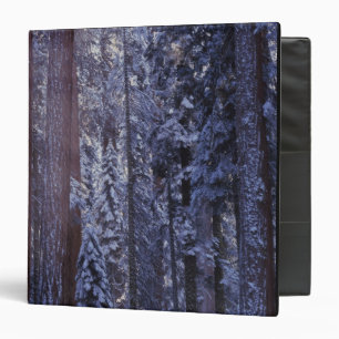 NA, USA, California. Sequoia National Park. 2 Binder