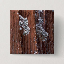 NA, USA, California. Sequoia National Park. Pinback Button