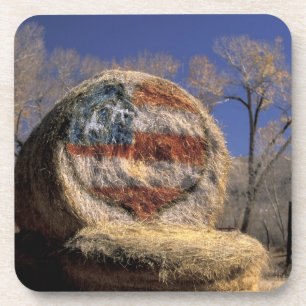 NA, USA, Colorado, Gunnison. Patriotic hay roll Coaster