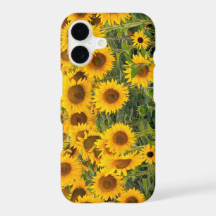 Na, USA, Colorado, Sunflowers iPhone 17 Case
