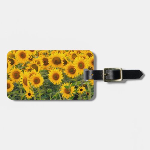 Na USA Colorado Sunflowers Luggage Tag