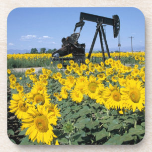 Na, USA, Colorado, Sunflowers, Oil Derrick Beverage Coaster