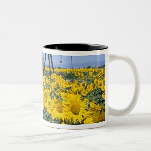 Na USA Colorado Sunflowers Oil Derrick Two_Tone Coffee Mug