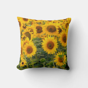 Na, USA, Colorado, Sunflowers Throw Pillow