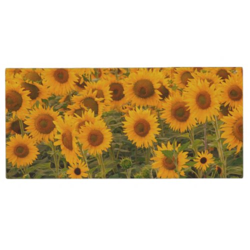Na USA Colorado Sunflowers Wood USB Flash Drive