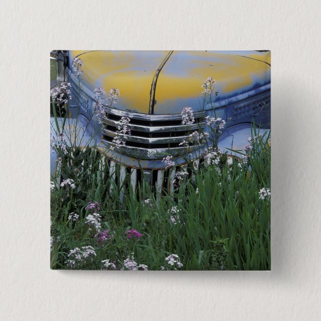 NA, USA, eastern Washington, Old truck with Pinback Button (Front)